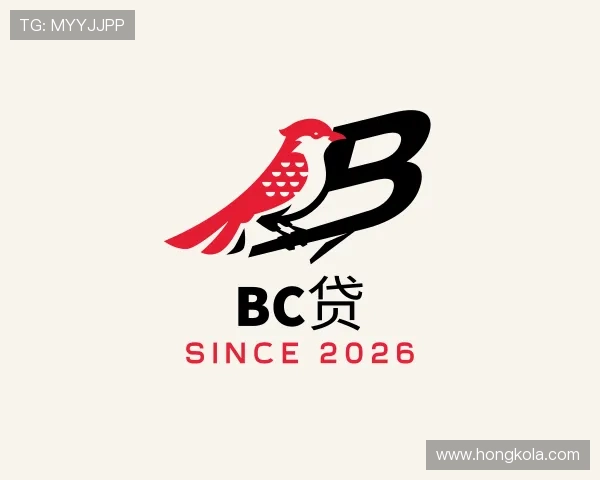 认识bc贷